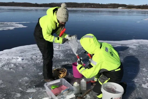 Photo of researchers in the field