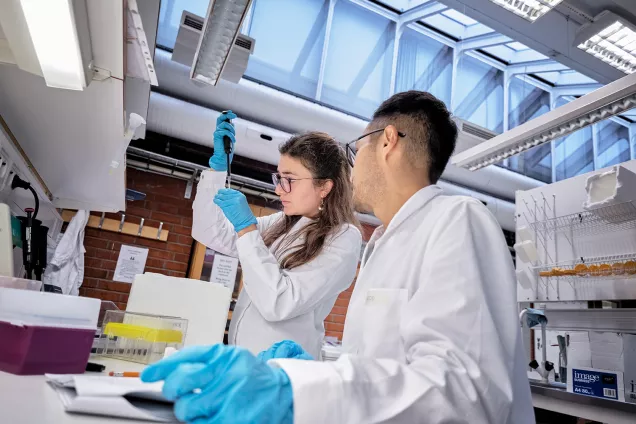 Two students in a laboratory. Photo: Håkan Röjder.