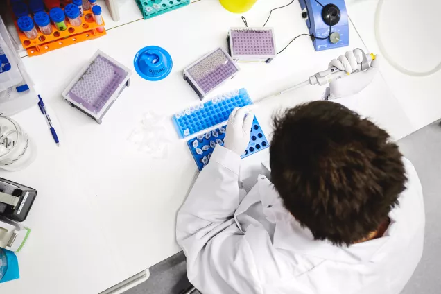 A person working in a laboratory. Photo: Kennet Ruona.