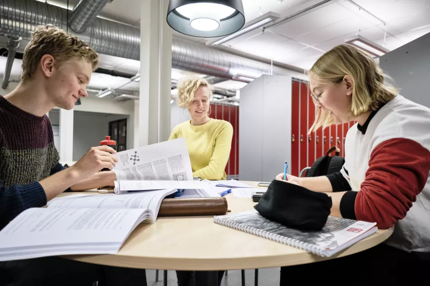 Group of students studying. Photo: Håkan Röjder.